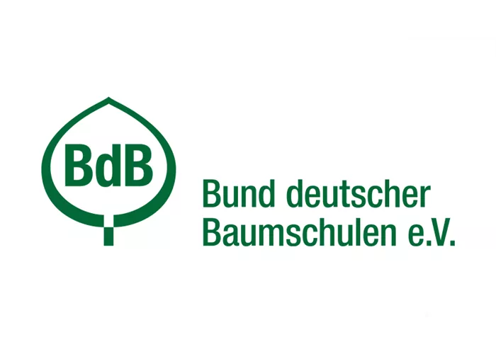 BDB.png BDB.png