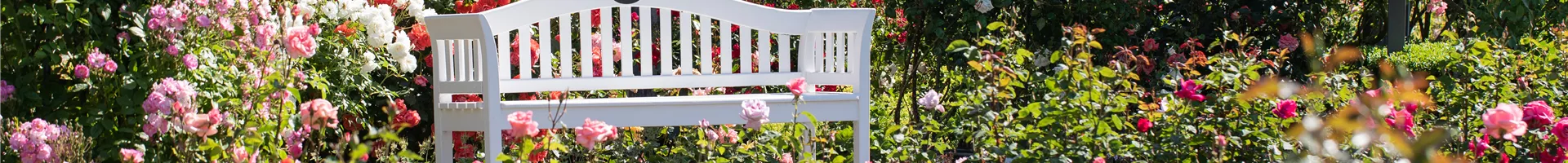 Bank in Rosengarten Bank in Rosengarten