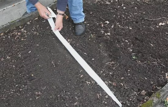 Blumen - Auslegen von Saatbändern Blumen - Auslegen von Saatbändern