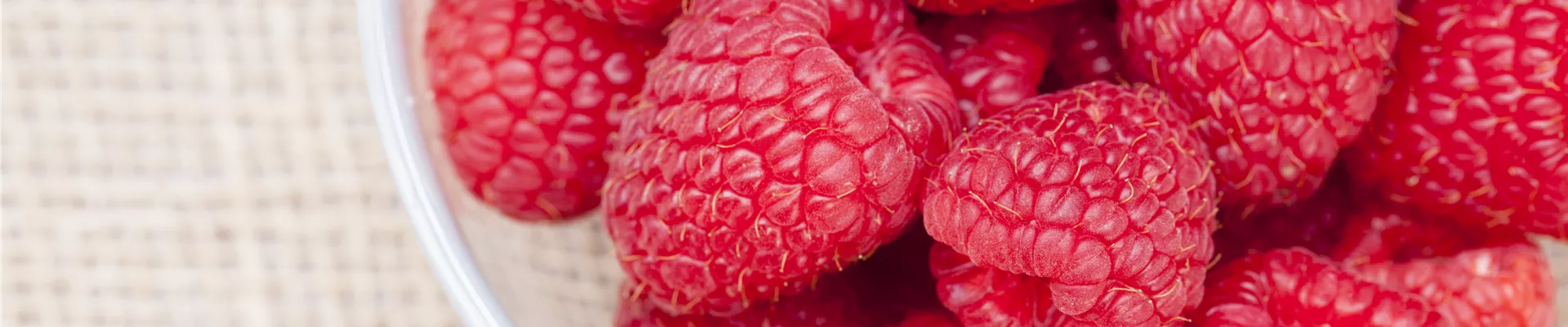 Rubus idaeus Rubus idaeus