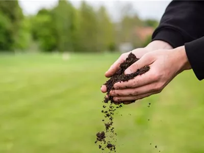Der Gartenboden: Bodenarten und was sie bedeuten