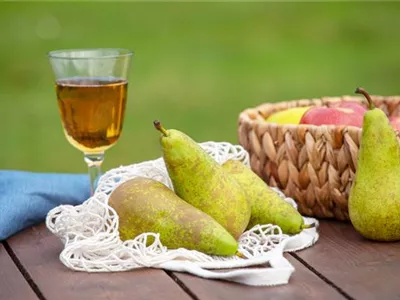 Birnen aus dem eigenen Garten genießen