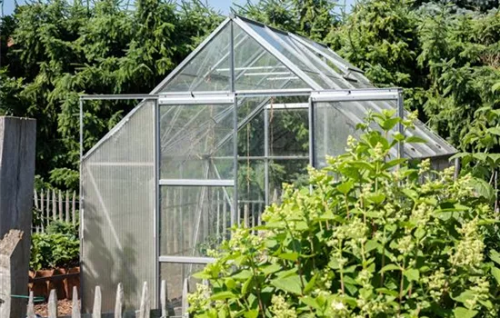 Ob groß oder klein: Gewächshäuser bereichern jeden Garten Ob groß oder klein: Gewächshäuser bereichern jeden Garten