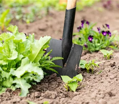 Hilfreiches und praktisches Zubehör zum Gärtnern Hilfreiches und praktisches Zubehör zum Gärtnern