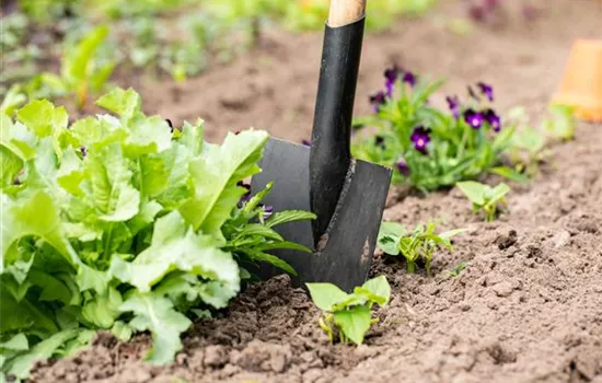 Hilfreiches und praktisches Zubehör zum Gärtnern Hilfreiches und praktisches Zubehör zum Gärtnern