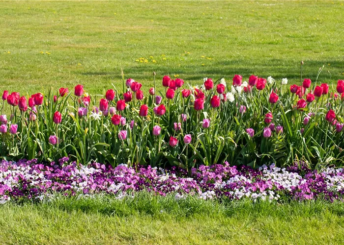 Wie ein pflegeleichter Garten gestaltet wird