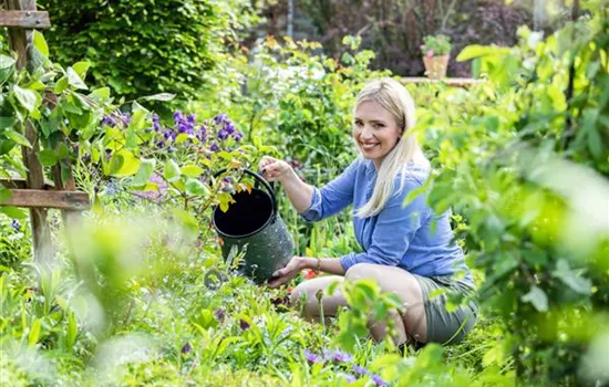Gartenarbeit im Sommer – Damit’s nicht zu heiß wird! Gartenarbeit im Sommer – Damit’s nicht zu heiß wird!